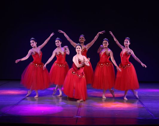 ballet gallery img