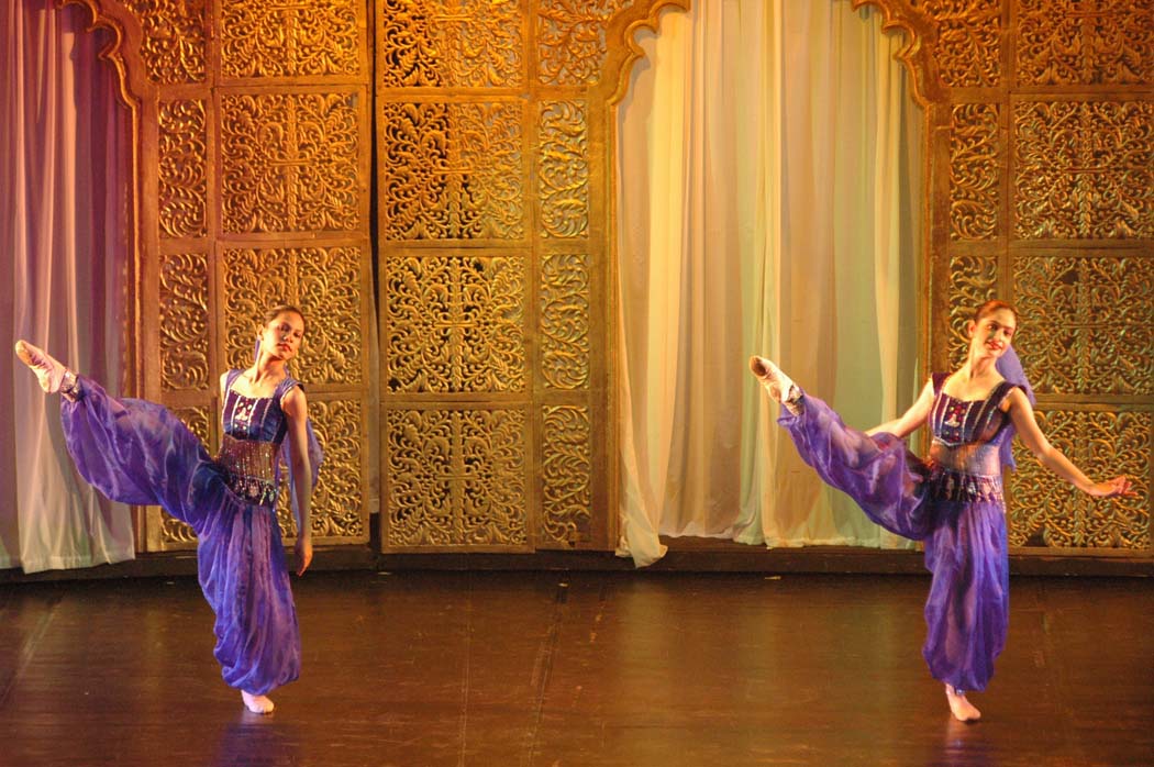 ballet gallery img