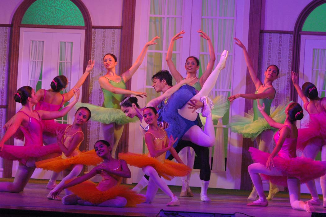 shows-gallery