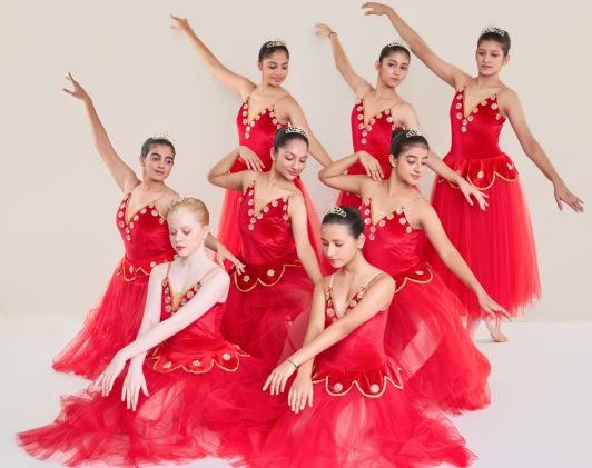 ballet gallery img